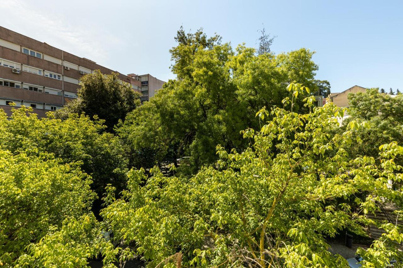 ליסבון Comfy 3 Bedroom Apartment Campo De Ourique מראה חיצוני תמונה